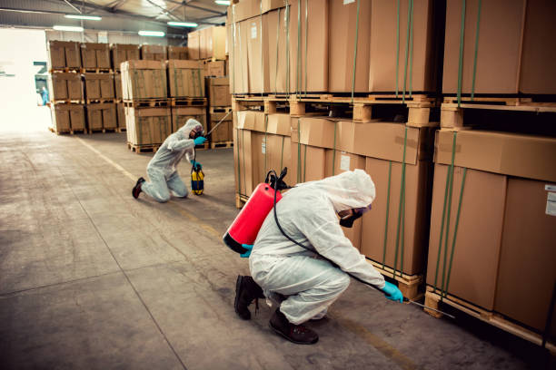 Best Wasp Removal Services  in Telluride, CO