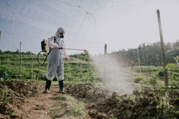 Best Best Pest Control Companies  in Telluride, CO