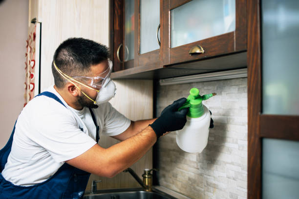 Best Residential Pest Control  in Telluride, CO