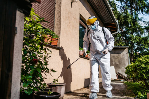 Best Emergency Pest Control  in Telluride, CO