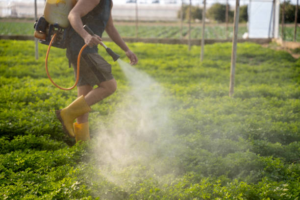 Best Affordable Pest Control Services  in Telluride, CO