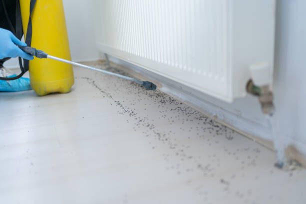 Best Commercial Pest Control Services  in Telluride, CO