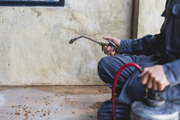 Best Pest Prevention Services  in Telluride, CO